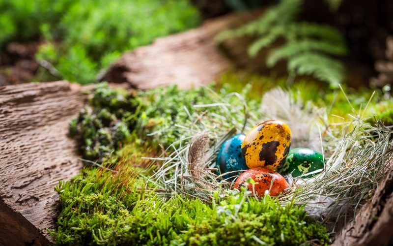 Why Do We Paint Eggs? Easter Traditions Around the World