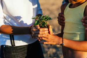 close-up-view-of-family-holding-a-plant-in-hand-wh-2025-01-09-12-35-48-utc-min