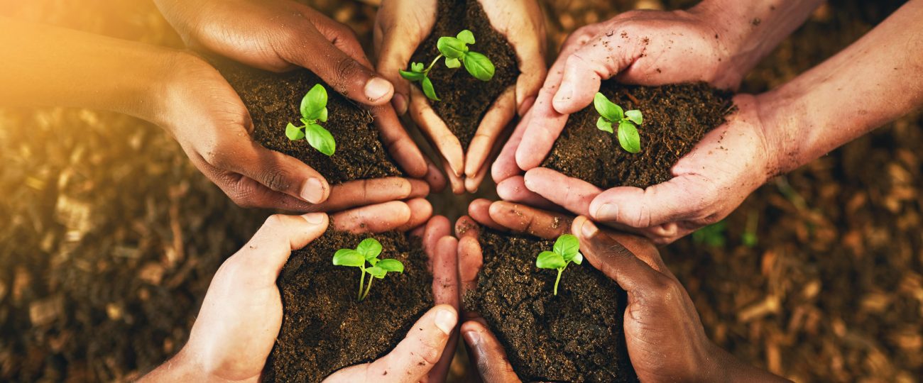 Protecting the Planet: Simple Ways to Embrace Nature and Sustainability
