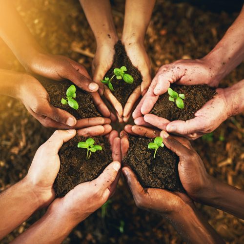 Protecting the Planet: Simple Ways to Embrace Nature and Sustainability