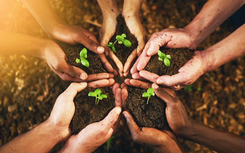 Protecting the Planet: Simple Ways to Embrace Nature and Sustainability