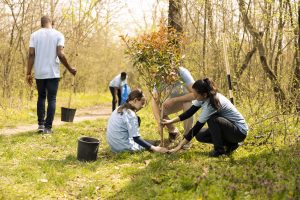 team-of-volunteers-digging-holes-and-installing-ne-2025-02-19-23-25-14-utc-min